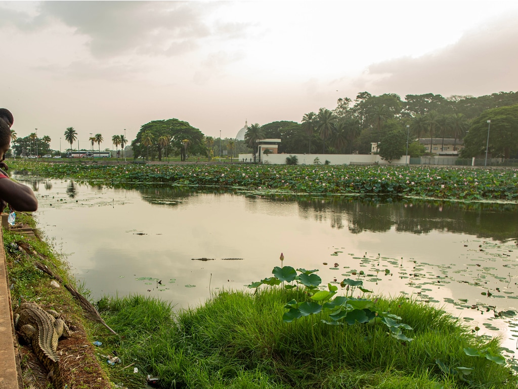 CÔTE D’IVOIRE : en réponse à la pollution, 13 lacs seront assainis à Yamoussoukro©Liking Leba/Shutterstock