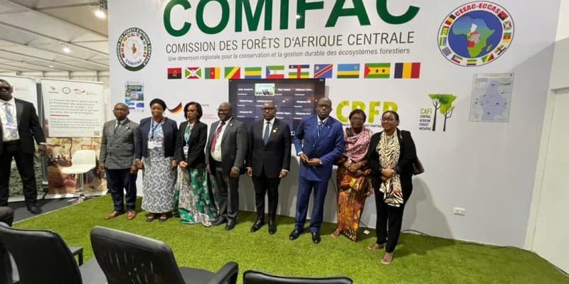 COP27: Comifac demands the funding promised for its forests at COP26© Comifac