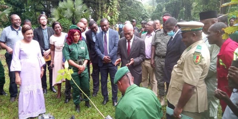 CAMEROON: €10 million from KfW for biodiversity protection in the South West ©Minfof