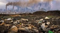 COP 15: 330 companies demand mandatory nature impact assessments©24Novembers/Shutterstock