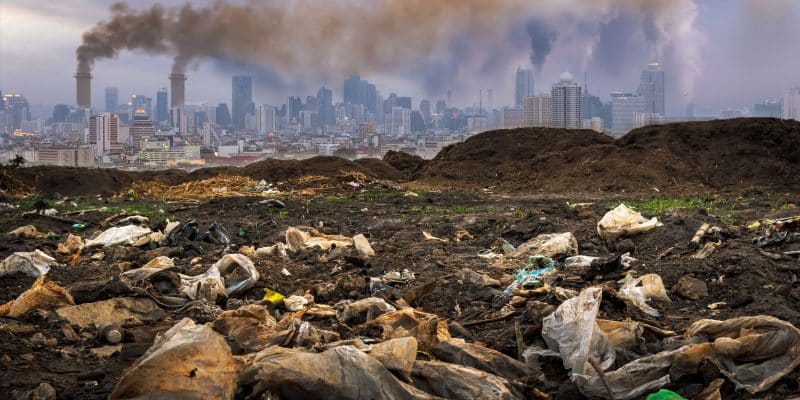 COP 15 : 330 entreprises exigent l’obligation d’évaluer leur impact sur la nature©24Novembers/Shutterstock
