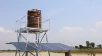ZIMBABWE: Solar pumps to address climate change in Harare© kaninw/Shutterstock