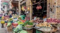 ÉGYPTE : un financement de 2 Md$ pour la sécurité alimentaire face au climat en 8 ans©Matyas Rehak/Shutterstock