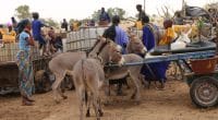 SENEGAL: A €40m AfDB Loan for Water and Sanitation©BOULENGER Xavier/Shutterstock