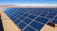 ÉGYPTE : Intro va doter l’usine de Suez Cement d’une centrale solaire de 20 MWc© abriendomundo/Shutterstock