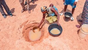 Climate emergency in Africa: time for adaptation solutions
