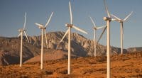 EGYPT: Acwa mobilises investors for Gabal el Zeit wind farm (1.1 GW)©Dejan Stanisavljevic/Shutterstock