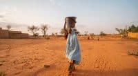 Urgence climatique en Afrique : à l’heure des solutions d’adaptation© Precious Photos/Shutterstock