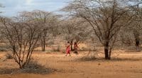 KENYA: Faced with drought, an emergency appeal for $472 million© hecke61/Shutterstock