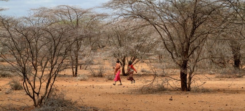 KENYA: Faced with drought, an emergency appeal for $472 million© hecke61/Shutterstock