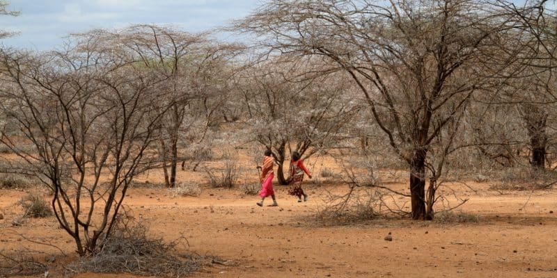 KENYA : face à la sècheresse, un appel d’urgence à la mobilisation de 472 M$© hecke61/Shutterstock