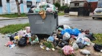 ALGÉRIE : une initiative permet la collecte de 71 tonnes de déchets dans les wilayas © Oussama.houssam/shutterstock