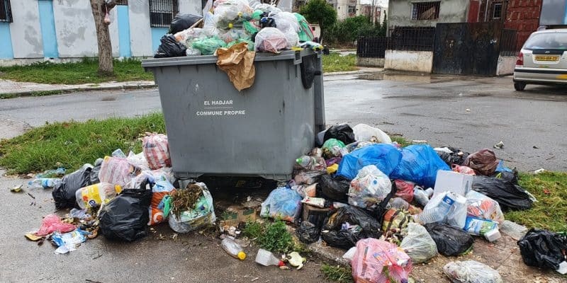 ALGERIA: An initiative allows the collection of 71 tons of waste in the wilayas© Oussama.houssam/shutterstock
