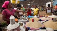 LIBERIA : la BAD débloque 5 M$ pour renforcer la sécurité alimentaire face au climat ©ImageArc/Shutterstock