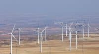 AFRIQUE DU SUD : la BEI et DBSA vont cofinancer 400 M€ pour les énergies propres © Greens and Blues/Shutterstock