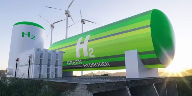 DJIBOUTI: Australia's CWP wants to convert 10 GW of clean electricity into hydrogen © Audio und werbung/Shutterstock
