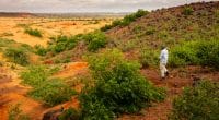 MALI: €54m from the ADF for climate change resilience in rural areas© Harmattan Toujours/Shutterstock