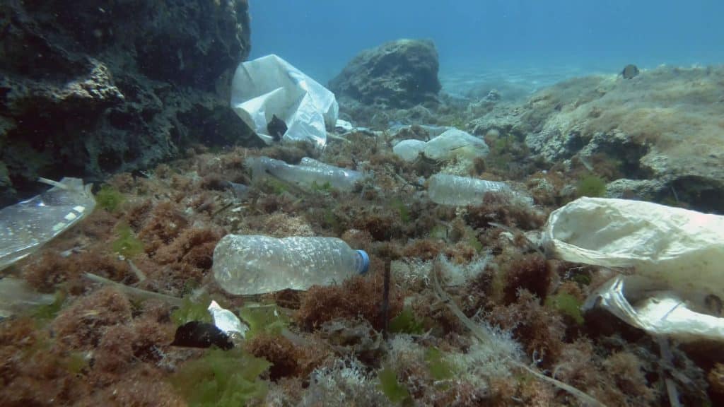 GHANA: World Bank mobilises $1.5m to reduce marine pollution in Accra©Andriy Nekrasov/Shutterstock