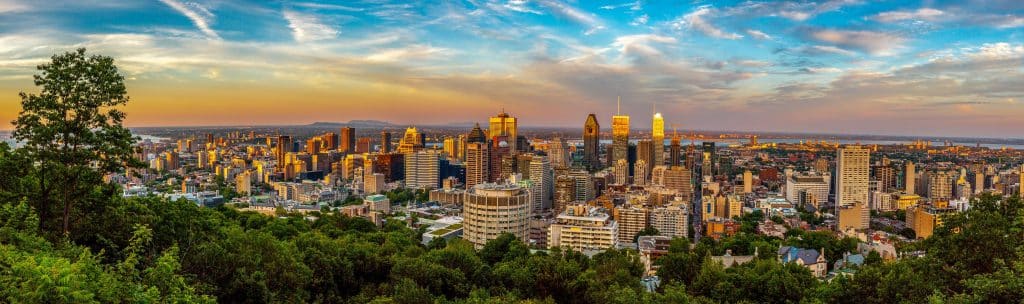 COP15 : à Montréal, l’Afrique du Sud en appelle à la sincérité des engagements©Yrias/Shutterstock