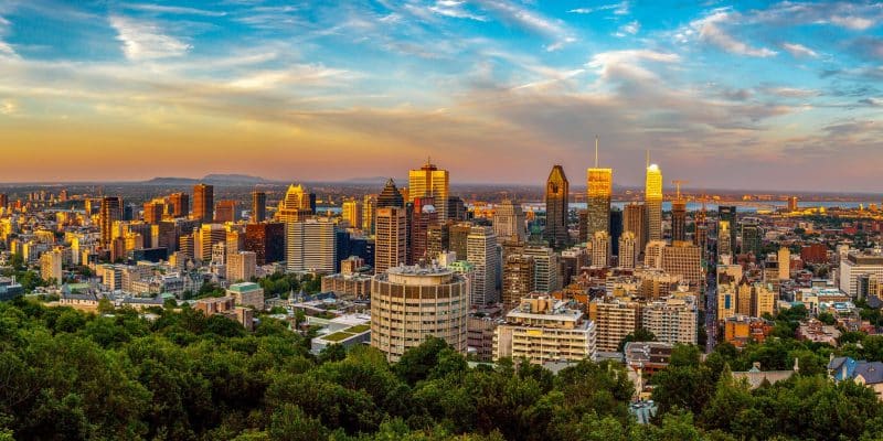 COP15 : à Montréal, l’Afrique du Sud en appelle à la sincérité des engagements©Yrias/Shutterstock
