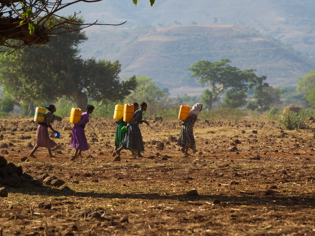 ÉTHIOPIE : le FAD débloque 14 M$ pour renforcer la résilience climatique à Borana
