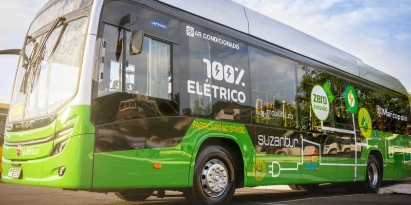 ÉGYPTE : fabriqués localement, 100 bus électriques circuleront d'ici à 2023  | Afrik 21