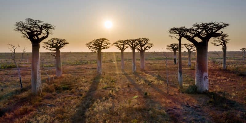 MADAGASCAR : un financement de 19 M$ pour la résilience face aux chocs climatiques © Zaruba Ondrej/Shutterstock