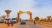 AFRIQUE : Niamey accueille le 9e Forum africain sur le développement durable en février© Catay/Shutterstock