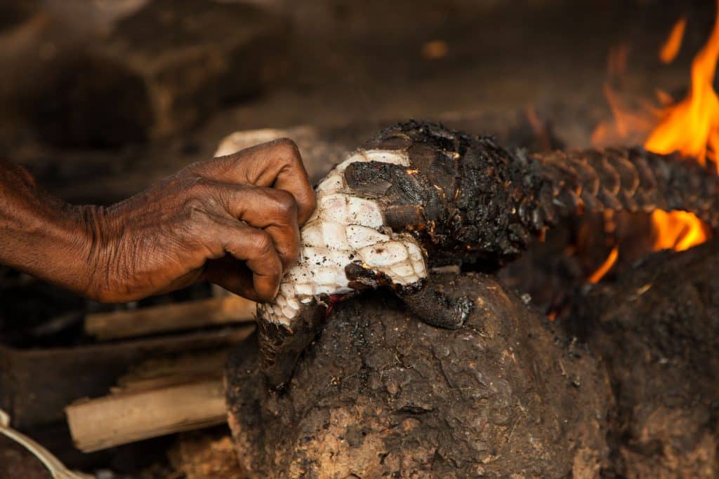 RDC : une campagne contre la consommation de faune sauvage à Kinshasa©Robin Bruyns/Shutterstock