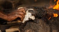 RDC : une campagne contre la consommation de faune sauvage à Kinshasa©Robin Bruyns/Shutterstock