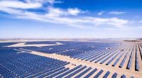 TUNISIE : Amea obtient des prêts pour la construction de son parc solaire de Kairouan © zhangyang13576997233/Shutterstock