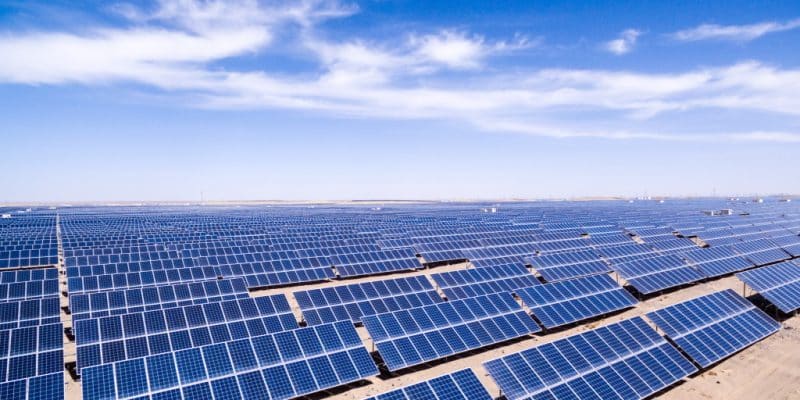 EGYPT: China's JA wins order for 560 MW of solar modules in Kom Ombo © zhangyang13576997233/Shutterstock