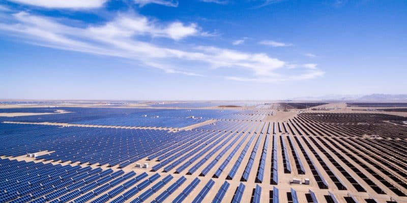 TUNISIE : des appels d’offres pour 1 600 MW d’énergie solaire et éolienne © zhangyang13576997233/Shutterstock