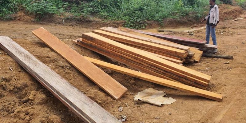 GABON : quatre sites de coupe illégale de bois découverts à Bitam, au nord du paysGABON : quatre sites de coupe illégale de bois découverts à Bitam, au nord du pays