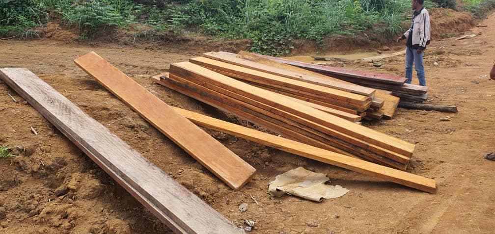 GABON : quatre sites de coupe illégale de bois découverts à Bitam, au nord du paysGABON : quatre sites de coupe illégale de bois découverts à Bitam, au nord du pays
