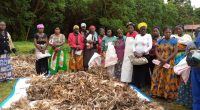 RDC : des femmes du Sud-Kivu, formées à la fabrication de charbon écologique©Aprovatour