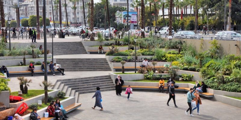 MAROC : des espaces verts créés pour embellir Casablanca et 24 autres villes ©Tupungato /Shutterstock