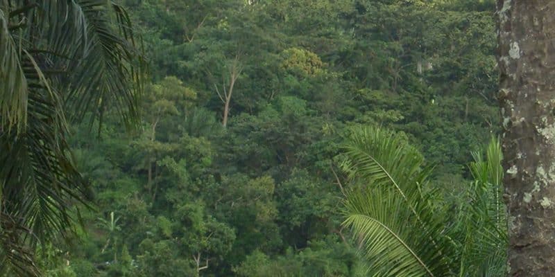 TOGO : sept ans avant l’échéance des ODD, un comité de développement durable installé© Ministère togolais de l’Environnement et de la Ressource Forestière