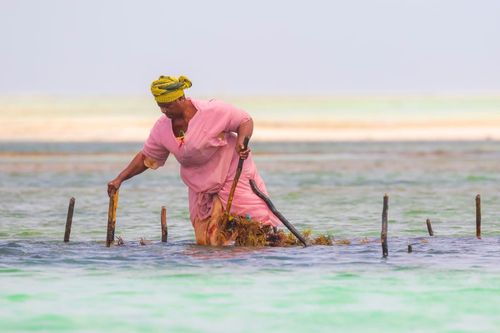 AFRIQUE : la FAO et l’ARC intégreront la dimension de genre dans l’action climatique © SanderMeertinsPhotography/Shutterstock