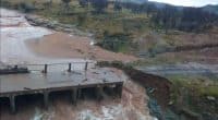 SOUTH AFRICA: Floods kill 12 and threaten biodiversity ©DR