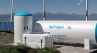 GREEN HYDROGEN: Fortescue in battle in Namibia and South Africa © Audio und werbung/Shutterstock