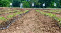 OUGANDA : 160 agriculteurs seront dotés de systèmes d’irrigation à Kapelebyong ©20INZ/Shutterstock