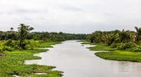 NIGERIA : à Bauchi, le projet ACReSAL démarre pour la protection des bassins versants ©Fela Sanu/Shutterstock