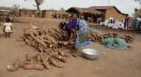 BENIN: 457M€ to be mobilised in 4 years for food security in face of climate change ©BOULENGER Xavier/Shutterstock