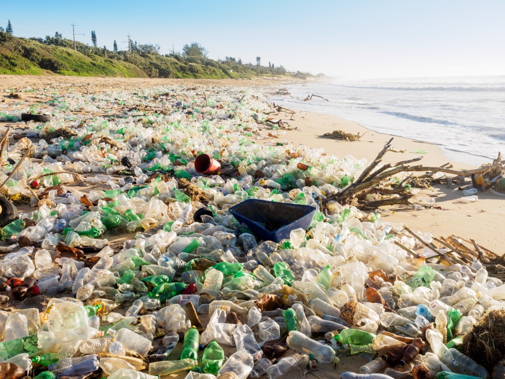 Environment Day 2023: in Abidjan, the focus will be on plastic pollution on 5 June ©DigArt/Shutterstock