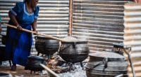 AFRIQUE : un partenariat pour financer la cuisson propre via les crédits carbone © LawrenceTsaoneBahiti/Shutterstock