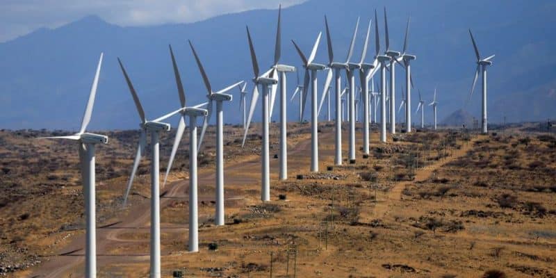 KENYA : Finnfund cède ses parts dans le parc éolien du lac Turkana de 310 MW ©Vestas