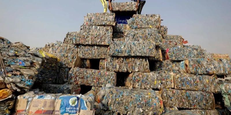 ÉGYPTE : après Le Caire, Cemex et VeryNile collectent les déchets solides à Assiut © VeryNile