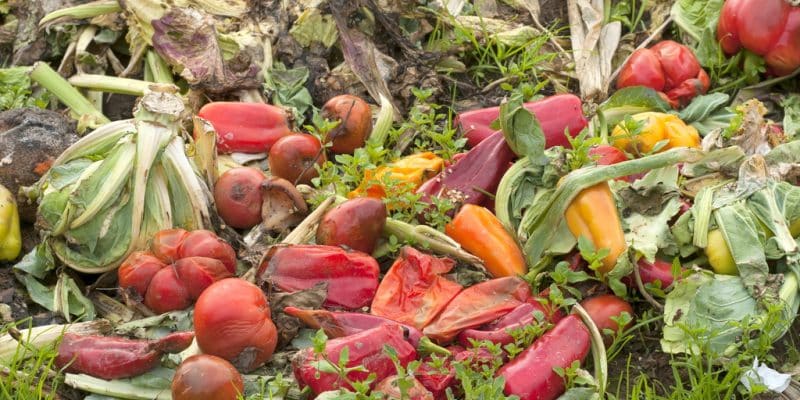 EGYPT: 9 million tons of food wasted per year, UNEP is concerned©Candace Hartley/Shutterstock
