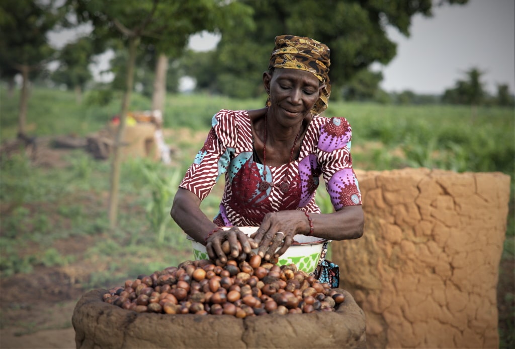 TOGO/BURKINA FASO: $1.3 million for environmentally responsible shea production© Ikechi Ugwoeje/Shutterstock